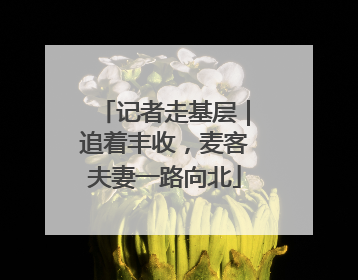 记者走基层｜追着丰收，麦客夫妻一路向北