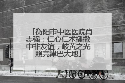 衡阳市中医医院肖志强：仁心仁术播撒中非友谊，岐黄之光照亮津巴大地