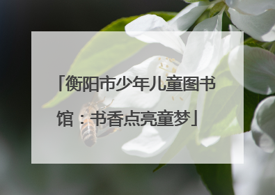 衡阳市少年儿童图书馆：书香点亮童梦