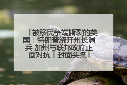 被移民争端撕裂的美国：特朗普绕开州长调兵 加州与联邦政府正面对抗丨封面头条