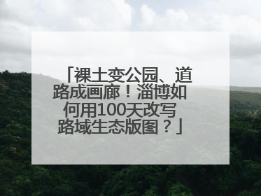 裸土变公园、道路成画廊！淄博如何用100天改写路域生态版图？
