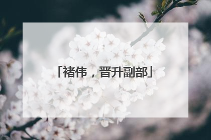 褚伟，晋升副部