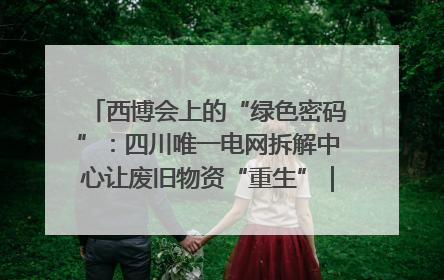 西博会上的“绿色密码”：四川唯一电网拆解中心让废旧物资“重生”｜西博寻“新”记