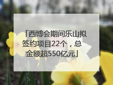 西博会期间乐山拟签约项目22个，总金额超550亿元