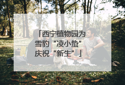 西宁植物园为雪豹“凌小蛰”庆祝“新生”