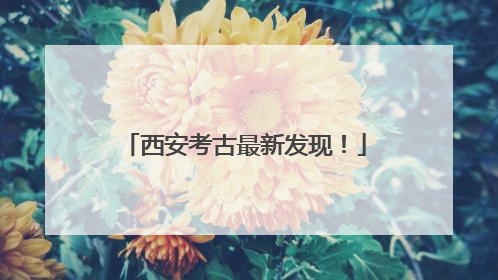 西安考古最新发现！