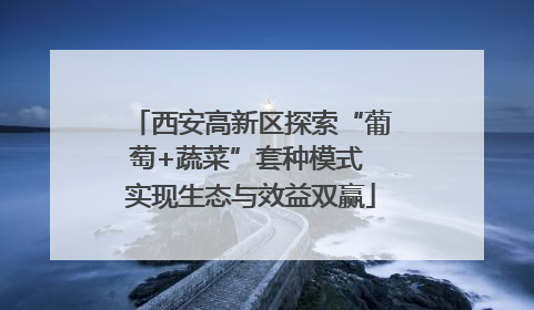 西安高新区探索“葡萄+蔬菜”套种模式 实现生态与效益双赢