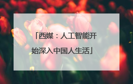 西媒：人工智能开始深入中国人生活