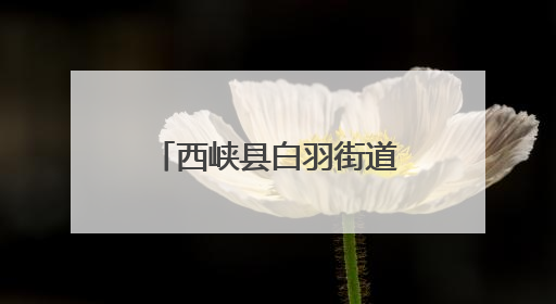 西峡县白羽街道：开展护路宣传 维护铁路安全
