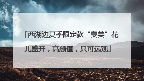 西湖边夏季限定款“臭美”花儿盛开，高颜值，只可远观