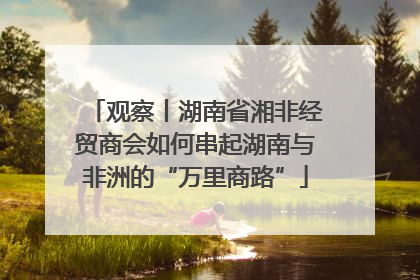 观察丨湖南省湘非经贸商会如何串起湖南与非洲的“万里商路”
