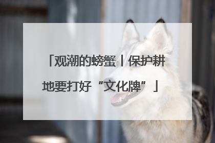 观潮的螃蟹丨保护耕地要打好“文化牌”