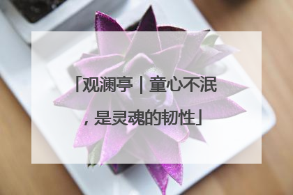 观澜亭｜童心不泯，是灵魂的韧性