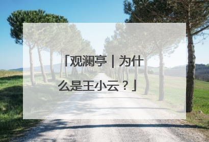 观澜亭｜为什么是王小云？