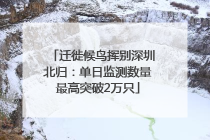 迁徙候鸟挥别深圳北归：单日监测数量最高突破2万只