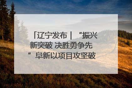 辽宁发布｜“振兴新突破 决胜勇争先”阜新以项目攻坚破解发展瓶颈 经济发展实现良好开局