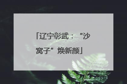 辽宁彰武：“沙窝子”焕新颜