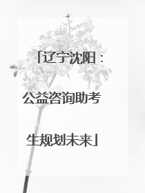 辽宁沈阳：公益咨询助考生规划未来