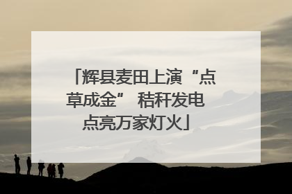 辉县麦田上演“点草成金” 秸秆发电点亮万家灯火
