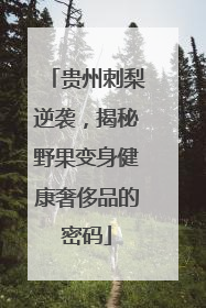贵州刺梨逆袭，揭秘野果变身健康奢侈品的密码