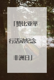 赞比亚举行活动纪念非洲日