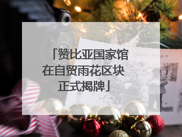 赞比亚国家馆在自贸雨花区块正式揭牌