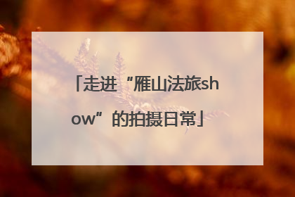 走进“雁山法旅show”的拍摄日常