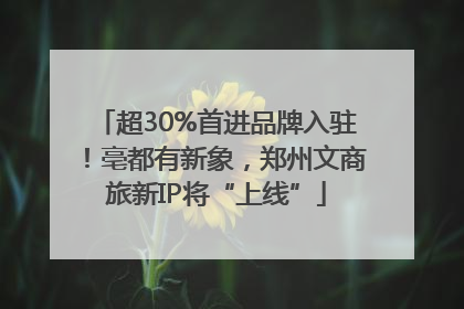 超30%首进品牌入驻！亳都有新象，郑州文商旅新IP将“上线”