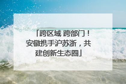 跨区域 跨部门！安徽携手沪苏浙，共建创新生态圈