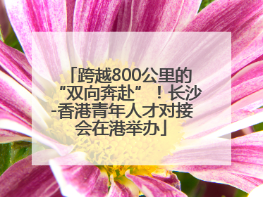 跨越800公里的“双向奔赴”！长沙-香港青年人才对接会在港举办