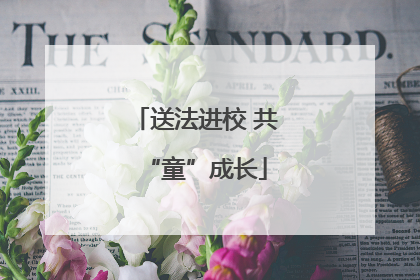 送法进校 共“童”成长