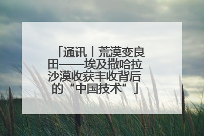 通讯丨荒漠变良田——埃及撒哈拉沙漠收获丰收背后的“中国技术”