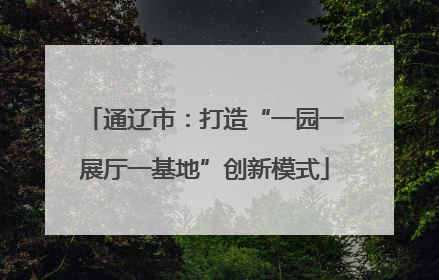 通辽市：打造“一园一展厅一基地”创新模式