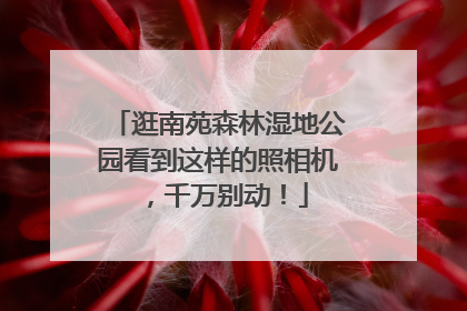 逛南苑森林湿地公园看到这样的照相机，千万别动！