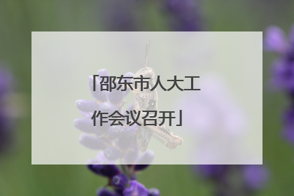 邵东市人大工作会议召开