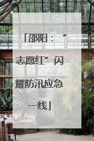 邵阳：“志愿红”闪耀防汛应急一线