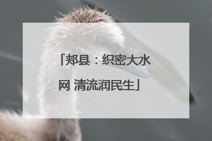 郏县：织密大水网 清流润民生