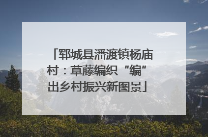 郓城县潘渡镇杨庙村：草藤编织“编”出乡村振兴新图景
