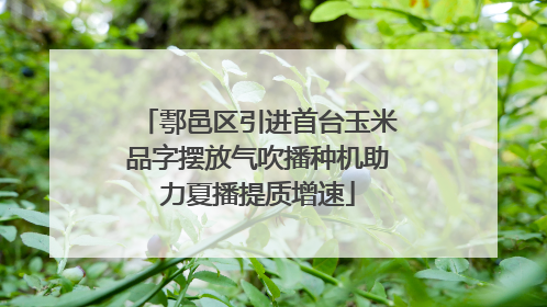 鄠邑区引进首台玉米品字摆放气吹播种机助力夏播提质增速