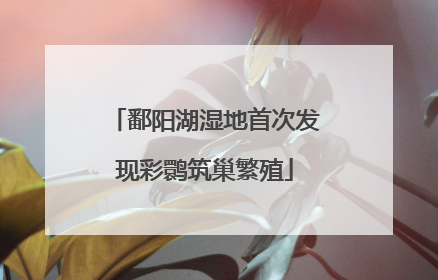 鄱阳湖湿地首次发现彩鹮筑巢繁殖