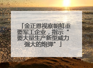 金正恩视察朝鲜重要军工企业，指示“要大量生产新型威力强大的炮弹”