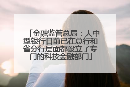 金融监管总局：大中型银行目前已在总行和省分行层面都设立了专门的科技金融部门