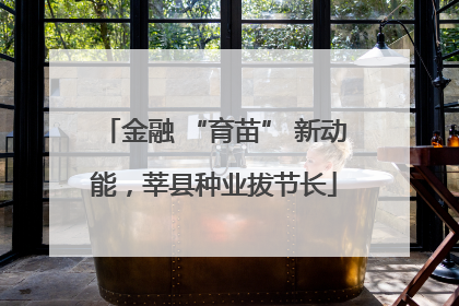 金融 “育苗” 新动能，莘县种业拔节长
