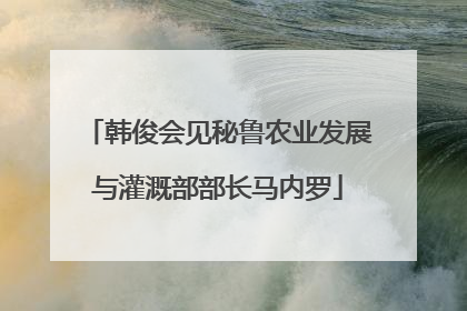 韩俊会见秘鲁农业发展与灌溉部部长马内罗