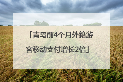 青岛前4个月外籍游客移动支付增长2倍