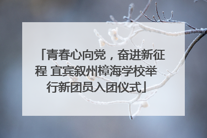 青春心向党，奋进新征程 宜宾叙州樟海学校举行新团员入团仪式