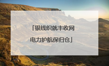 银线织就丰收网 电力护航保归仓