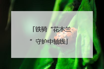 铁骑“花木兰”守护中轴线