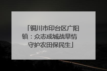 铜川市印台区广阳镇：众志成城战旱情 守护农田保民生