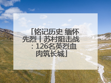 铭记历史 缅怀先烈丨苏村阻击战：126名英烈血肉筑长城